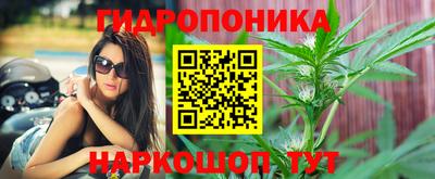 гидропоника Кимры