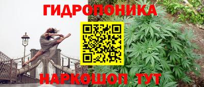 гидропоника Кимры