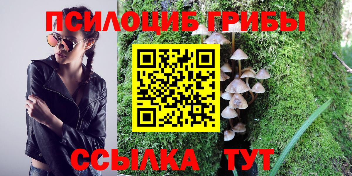Псилоцибиновые грибы мухоморы  Вход с VPN  Псилоцибиновые грибы Psilocybe  Крымск 